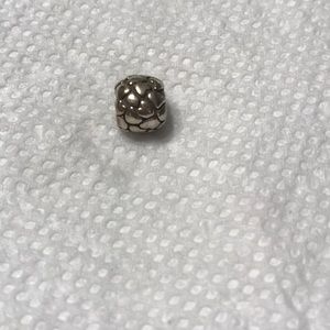 Pandora charm